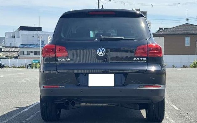 VOLKSWAGEN TIGUAN 2011