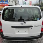 TOYOTA PROBOX  2019